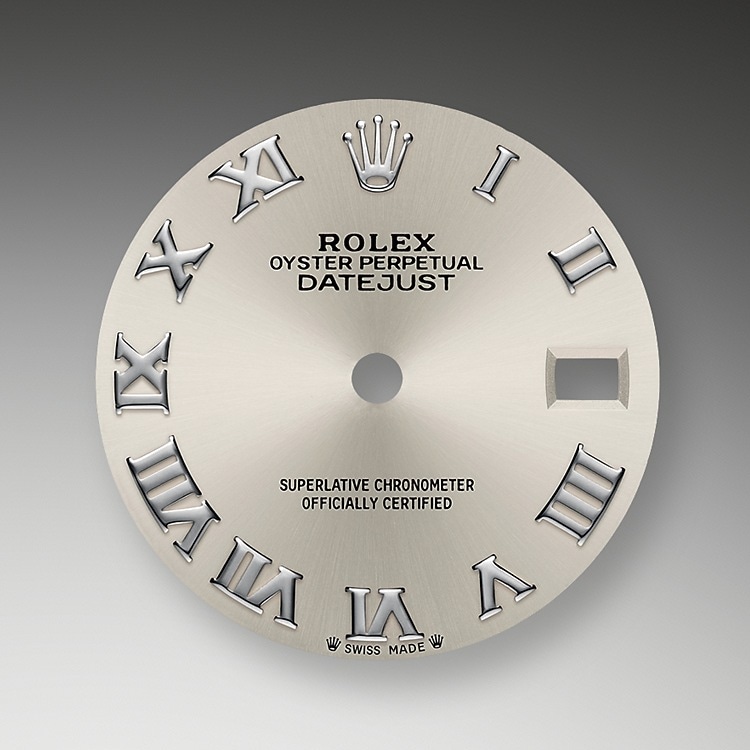 SILVER DIAL